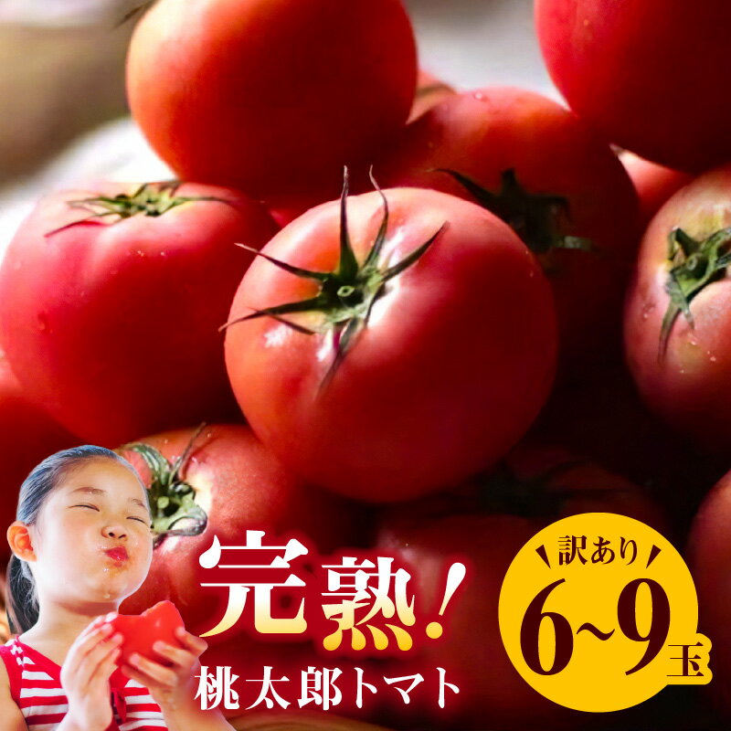 訳あり 桃太郎トマト 6〜9玉 この道40年 農家から 直送 完熟 とまと ご家庭用 B品 皮が薄い 野菜 子供 産地直送 愛知県 碧南市 送料無料