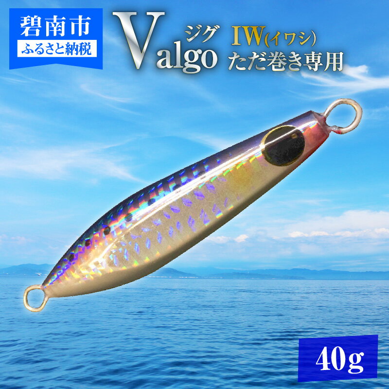 【ふるさと納税】ただ巻き 専用 ジグ Valgo（バルゴ）IW(イワシ） 40g フォールスピード タングステン 並み ショアジギング メタルジグ タイラバ 鯛ラバ ルアー ジギングライトジギング カブラ カブラヘッド 釣り 釣り具