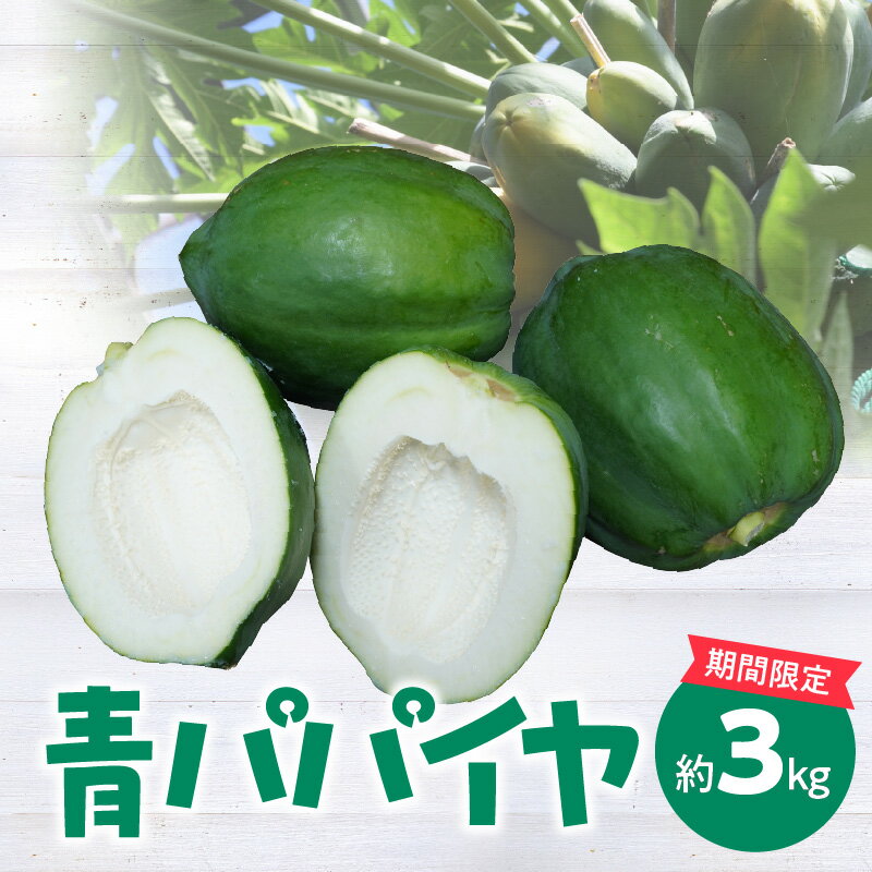 10位! 口コミ数「0件」評価「0」期間限定 青パパイヤ 約3kg 栄養の宝庫 パパイヤ スーパーフード パパイン酵素 たんぱく質 脂肪分解 酵素 野菜 フルーツ 果物 料理に･･･ 