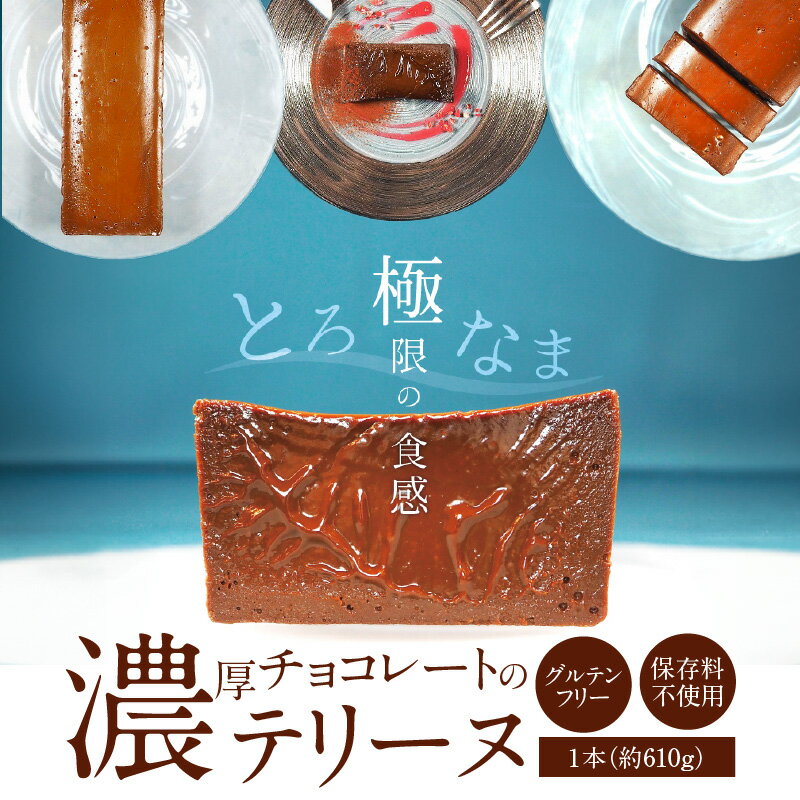 【ふるさと納税】濃厚 チョコレート テリーヌ 610g 手