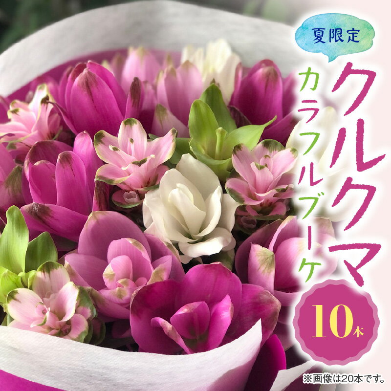 21位! 口コミ数「0件」評価「0」花もち抜群！夏 限定 かわいい カラフル ブーケ クルクマの花束 10本 生花 花束 海外花 クルクマ 癒し 花 お取り寄せ ギフト プレゼ･･･ 