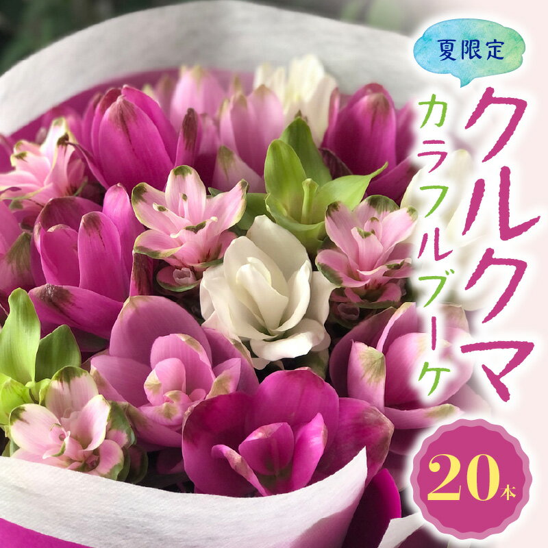 15位! 口コミ数「0件」評価「0」花もち抜群！夏 限定 かわいい カラフル ブーケ クルクマの花束 20本 生花 花束 海外花 クルクマ 癒し 花 お取り寄せ ギフト プレゼ･･･ 