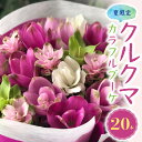 楽天愛知県碧南市【ふるさと納税】花もち抜群！夏 限定 かわいい カラフル ブーケ クルクマの花束 20本 生花 花束 海外花 クルクマ 癒し 花 お取り寄せ ギフト プレゼント用 インテリア おしゃれ 愛知県 碧南市 送料無料