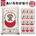 人気ランキング第18位「愛知県碧南市」口コミ数「0件」評価「0」米 定期便 愛知県産 あいちのかおり 10kg × 12回 計120kg 愛知県 碧南市 送料無料