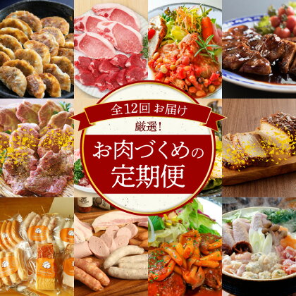 定期便 12回 12ヶ月 厳選 肉 づくめ ぎょうざ とんかつ 豚 とんてき 味付け 名古屋コーチン 唐揚げ ハム ソーセージ デミグラス ハンバーグ 鶏鍋セット 愛知県 碧南市 お取り寄せ お取り寄せグルメ 送料無料