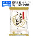 【ふるさと納税】愛知県産コシヒカリ 5kg　※定期便12回　安心安全なヤマトライス