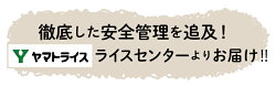 【ふるさと納税】新潟佐渡こしひかり 2kg　安心安全なヤマトライス　H074-093 画像1