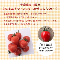 【ふるさと納税】4月〜6月の発送甘さ抜群!!トマト嫌いも食べられるトマトベリー≪先行受付≫