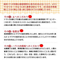 【ふるさと納税】4月〜6月の発送『旬』にお届けまるでトマトの宝石箱!ジュエリートマト≪先行受付≫
