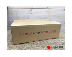 【ふるさと納税】甘さ抜群!!トマト嫌いも食べられるトマトベリー約1.8kg