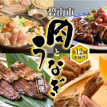 【ふるさと納税】碧南市　うなぎとお肉≪定期便≫（全12回お届け）