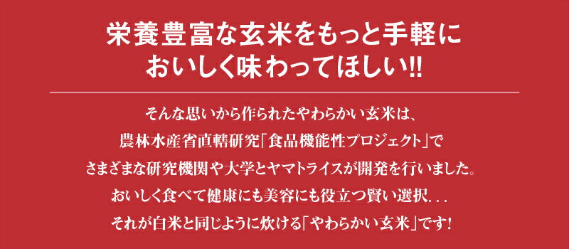 【ふるさと納税】玄米 定期便 6ヶ月 18kg...の紹介画像3