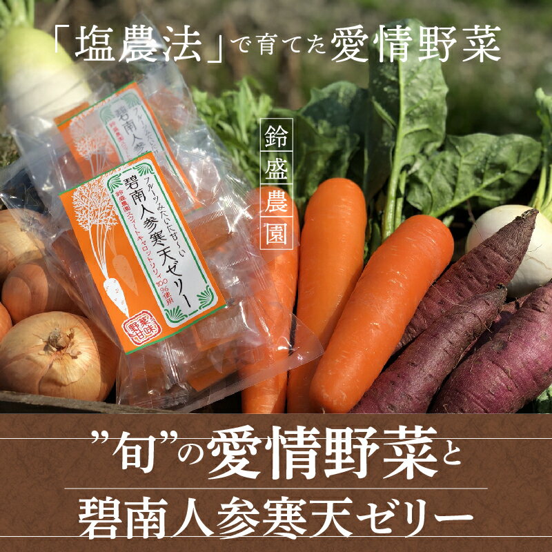 【ふるさと納税】鈴盛農園 旬 愛情野菜 碧南 人参 寒天ゼリー 詰め合わせ セット 新鮮 旬 産地直送 送料無料