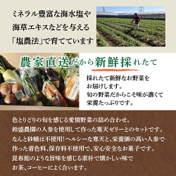 【ふるさと納税】鈴盛農園”旬”の愛情野菜と碧南人参寒天ゼリー　H022-005 画像2