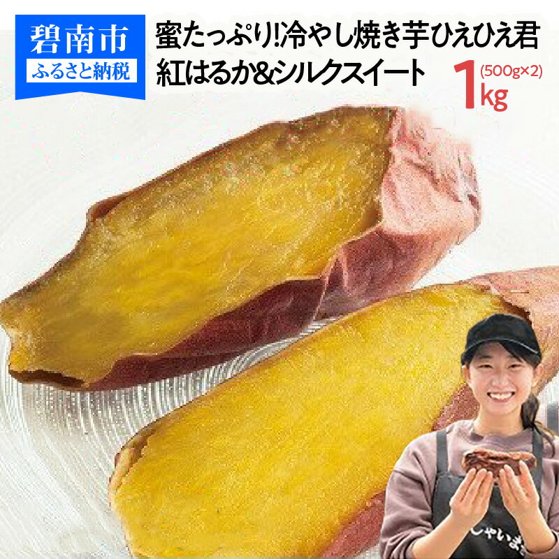 【ふるさと納税】焼き芋 1kg 紅はるか シルクスイート 500g 2パック 蜜たっぷり 冷やし焼き芋 ひえひえ君 芋スイーツ さつまいも 真空パック 甘い 焼き芋専門店 やきいも丸じゅん 愛知県 碧南市 お取り寄せ 冷蔵 送料無料