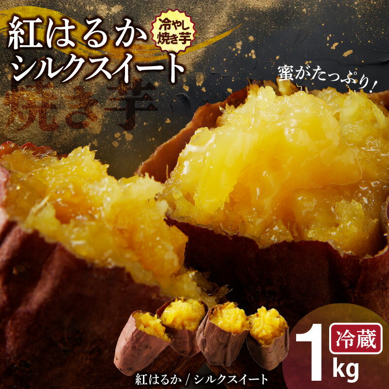 【ふるさと納税】焼き芋 1kg 紅はるか シルクスイート 500g 2パック 蜜たっぷり 冷やし焼き芋 ひえひえ君 芋スイーツ さつまいも 真空パック 甘い 焼き芋専門店 やきいも丸じゅん 愛知県 碧南…