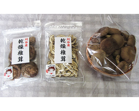 No.062 おがっしい生椎茸・乾燥椎茸セット　計約560g ／ しいたけ シイタケ 乾物 肉厚 送料無料 愛知県