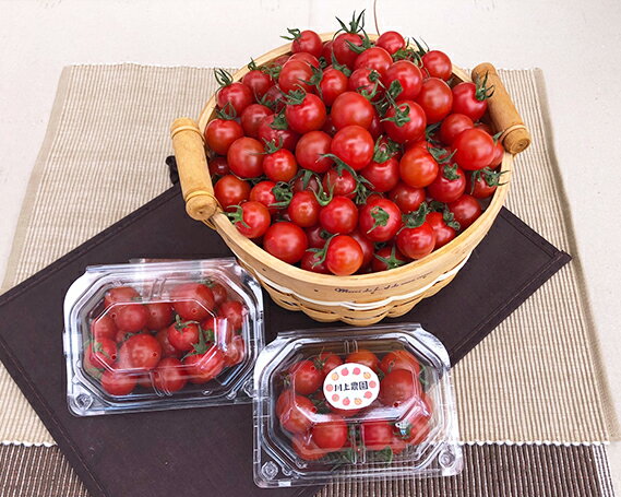 フルーツミニトマト 約2.4kg / ミニトマト フルーツトマト 大容量 小分けパック 甘い 野菜 ギフト 家庭用 サラダ お弁当 食べやすい 有機肥料 新鮮 産地直送 まとめ買い ヘルシー 送料無料 愛知県 No.068