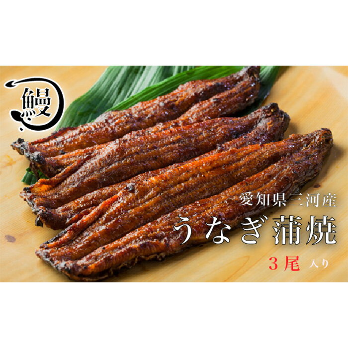 【ふるさと納税】No.144 うなぎの蒲焼3尾 ／ 鰻 ウナギ かば焼き 花心亭 送料無料 愛知県