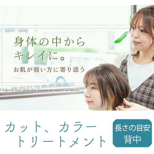 No.290 （LL）カット、カラー、トリートメント ／ チケット スーパーロング用 肌に優しい 髪に優しい 送料無料 愛知県