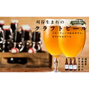 【ふるさと納税】No.332 KARIYA 75 BREWING おまかせ3本セット グラス付き ／ お酒 クラフトビール きぬあかり使用 発泡酒 送料無料 愛知県