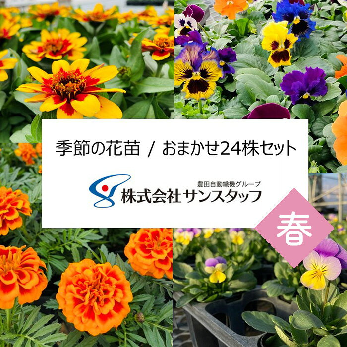 【ファーム直送】季節の花苗 おまかせ24株セット（春） ／ 花苗 季節の花苗 おまかせ24株セット ガーデニング 寄せ植え 花壇 苗 植物 春 サルビア マリーゴールド ペチュニア No.409