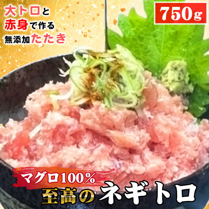 【ふるさと納税】No.489 至高のネギトロ750g(大トロと赤身で作る無添加たたき)マグロ100% / まぐろ 鮪 食べ応え 食べごたえ 口どけ こだわり 海鮮 ネギトロ丼 送料無料 愛知県