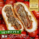 【ふるさと納税】No.490 うるつやトマトの無水カレーパン9個入 / とまと リコピン濃度 野菜 うま味 い志かわ 共同開発 送料無料 愛知県