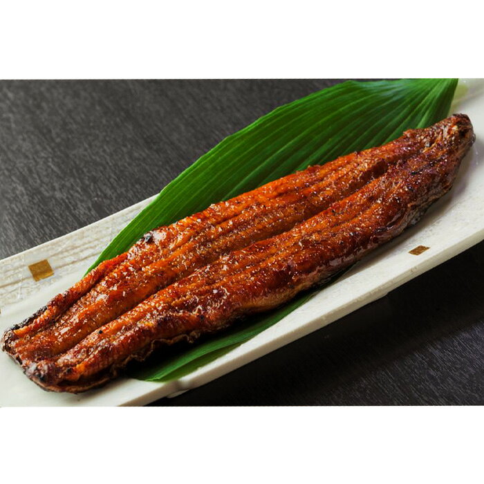 【ふるさと納税】 食べ比べ紅白鰻各1尾 ／ うなぎ ウナギ 花心亭 伝統 送料無料 愛...