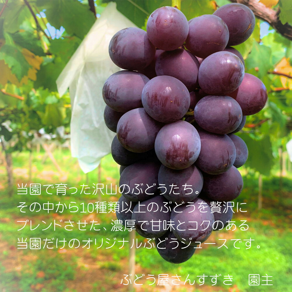 【ふるさと納税】 【ぶどう屋さんすずき】オリジナルブレンド100％ぶどうジュース　4本 ／ 飲み物 グレープ 葡萄 厳選 甘み 酸味 ブレンド 100％ 炭酸 焼酎 送料無料 愛知県 No.532