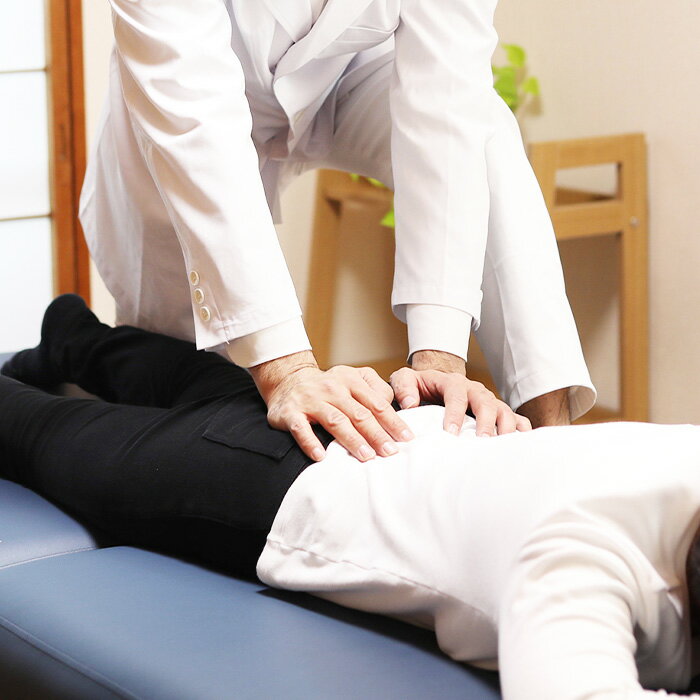 【ふるさと納税】 腰痛特化の全身整体40分 ／ チケット 施術 アフターケア 姿勢 動作の修正 ストレッチ 運動療法 国家資格 送料無料 愛知県 No.533