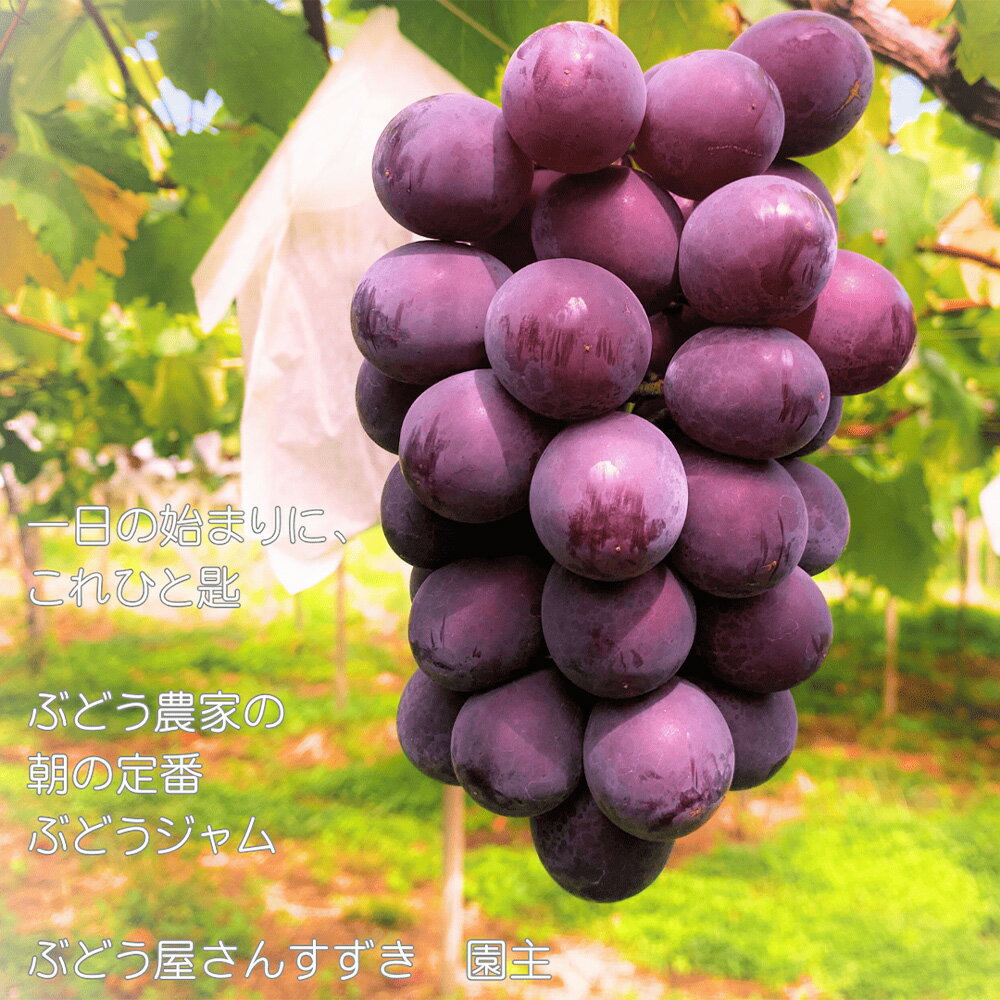 サンプル画像2