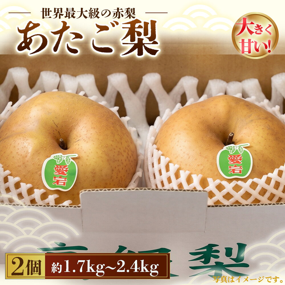のの山農園「あたご梨」 / あたご梨 梨 なし 赤梨 大玉 果物 フルーツ 2個入り 産地直送 旬 甘み みずみずしい 食感 No.067