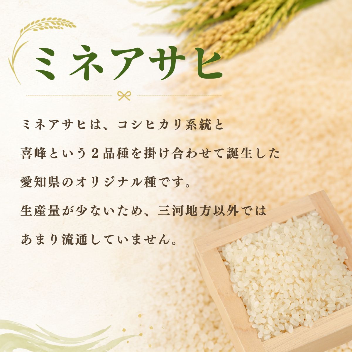 【ふるさと納税】三河湖ダムカレーセット（ソーセージ3種・【令和7年産】精米「ミネアサヒ」(水車米)5合）| 三河湖ダムカレー ダムカレー カレーセット ソーセージ 食べ比べ 米 令和7年産 ミネアサヒ レトルトカレー ご当地カレー ご当地グルメ 詰め合わせ 愛知県 豊田市 f232114-toyota-10000543 愛知県豊田市 サンプル画像2