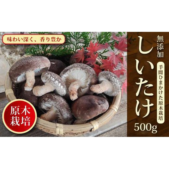 原木栽培!しいたけ500g[肉厚・香り豊か]