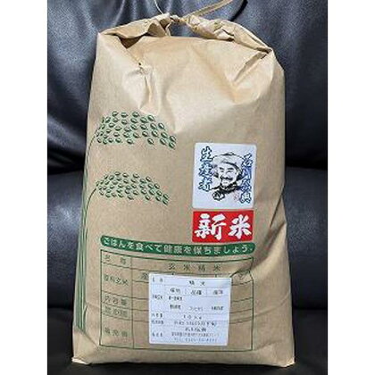 令和5年度産 【新米】あいちのかおり10kg | お米 こめ 白米 食品 人気 おすすめ 送料無料