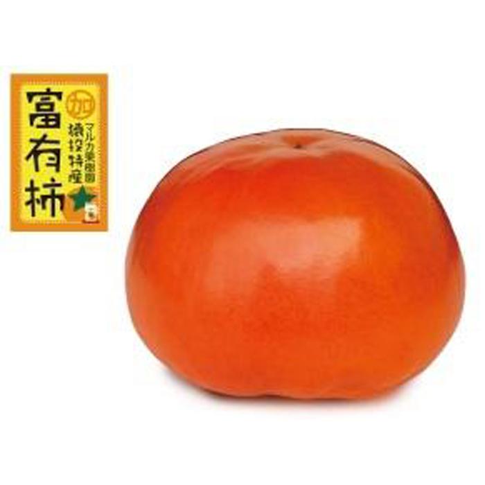 ＜先行受付＞富有柿　約4.5kg【2024年11月上旬以降順次発送】