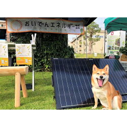 【ふるさと納税】おいでんのでんき300kWh相当（毎月100kWh×3ヶ月）【定期便：全3回】 画像1