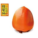 【ふるさと納税】＜先行受付＞蜂屋柿　約5kg～6kg 【2023年10月下旬以降順次発送】