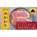 5位! 口コミ数「0件」評価「0」【みかわ牛】特選和牛サーロインステーキ　　　250g×2枚