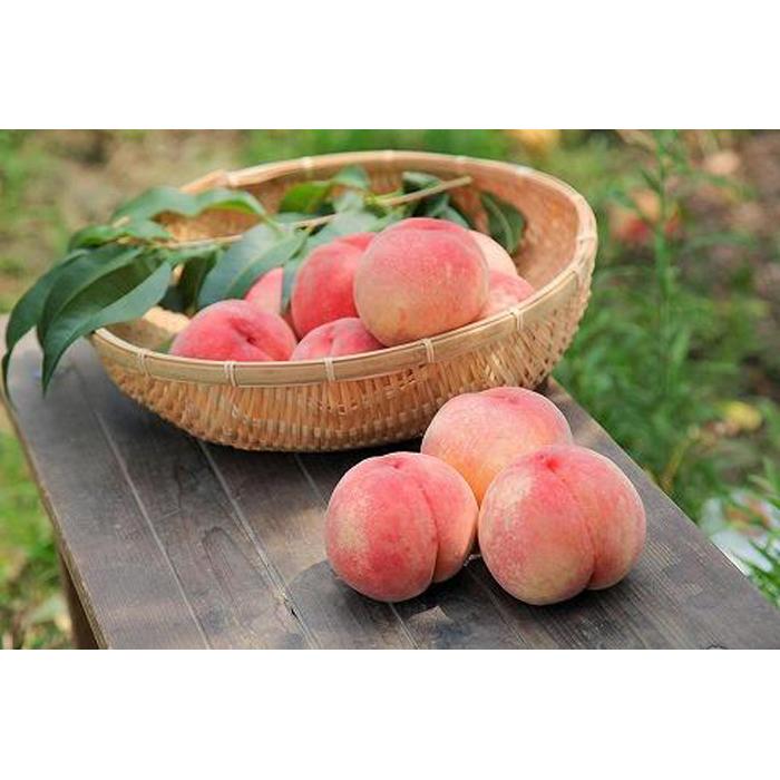 【ふるさと納税】はっぴー農産の桃（あかつき）約2kg箱（6玉）のサムネイル