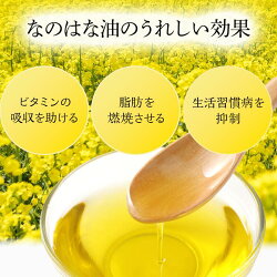 【ふるさと納税】【定期便3ケ月】＜愛知県産菜種100％使用＞なのはな油600g×2本 | 愛知県 愛知 豊田市 豊田 楽天ふるさと 納税 返礼品 支援品 支援 特産品 名産品 食品 食べ物 油 あぶら 菜種油 なたね油 食用油 植物油 料理 調理 植物油脂 なのはな油 国産 日本 お土産･･･ 画像2