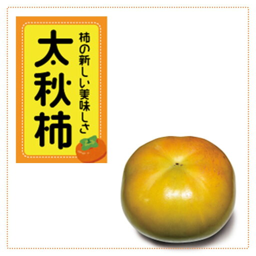 【ふるさと納税】<先行受付>太秋柿 約4.5kg【2025年9月下旬以降順次発送】 【ふるさと納税】<先行受付>太秋柿 約4.5kg【2025年9月下旬以降順次発送】