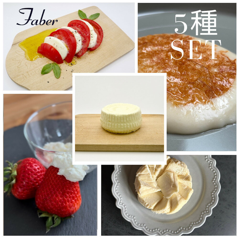 [チーズ職人こだわり]ファーベル5種のチーズセット | 豊田市 チーズ 手作り モッツアレラ 人気 おすすめ 送料無料