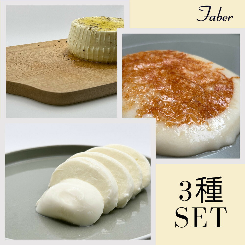 【ふるさと納税】【チーズ職人こだわり】ファーベル3種のチーズセット | 豊田市 チーズ 手作り モッツアレラ 人気 おすすめ 送料無料