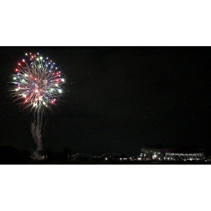 【ふるさと納税】自分好みの花火が打ち上がる！プライベート花火大会 | 愛知県 愛知 豊田市 豊田 楽天ふるさと 納税 返礼品 支援品 花火 ハナビ 打上花火 打ち上げ花火 パーティー デート 誕生日プレゼント 子供 こども 子ども キッズ ジュニア 小学生 祖父 祖母 プレゼント