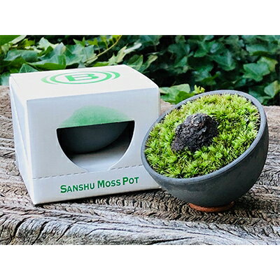 三州モスポット(sanshu moss pot) 