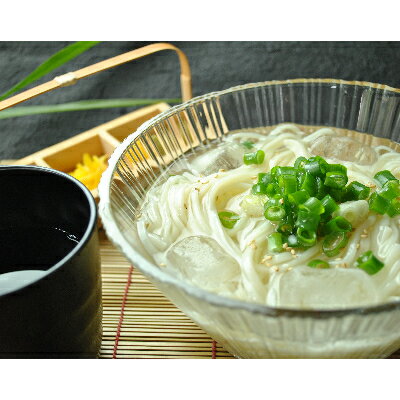 【ふるさと納税】和泉手延べ麺　半生もどし長そうめん・乾ひやむぎ(計19人前)　たつみ麺店(STSSD)【1230118】