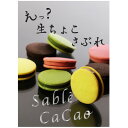 【ふるさと納税】デ・レーヴのサブレ・カカオ　8個入【配送不可地域：離島】【1283388】