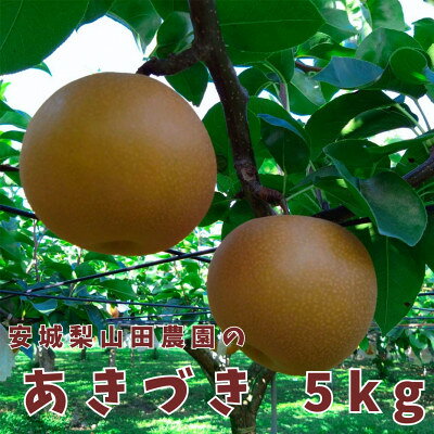 安城梨山田農園のあきづき 5kg【大玉】【1342673】